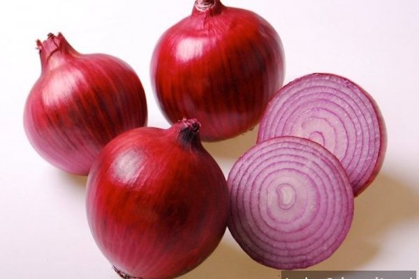Krakenruzxpnew4af onion tor site